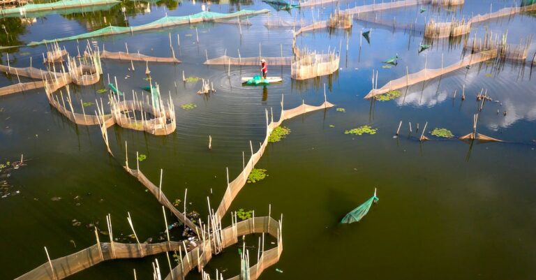 Tips On Teaching Your Kids How To Fish