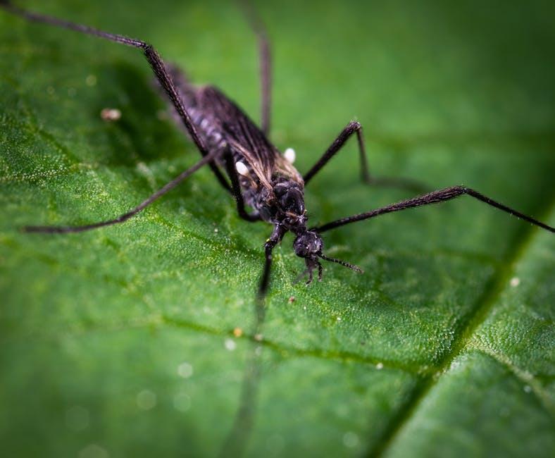 Comparative Analysis of⁤ Popular ​Repellent⁤ Technologies