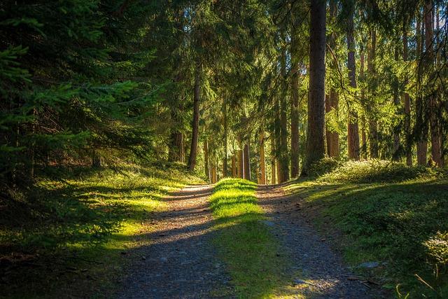 Top Recommendations for Long-Distance Adventures