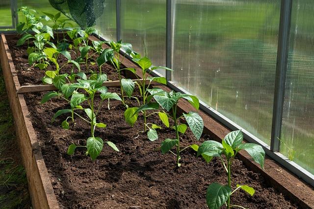 Exploring Essential ⁤Features of Portable ⁣Greenhouses