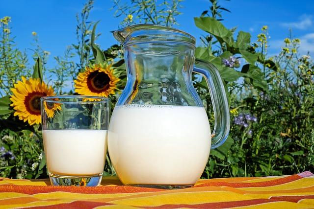 Top recommendations for Easy-to-Use‍ frothers in the ‍Market