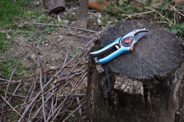 Top Features to‌ Look for in quality Pruning Shears