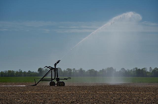 Key Features to Look for When ​Choosing‌ a ⁣Smart ⁢Irrigation System