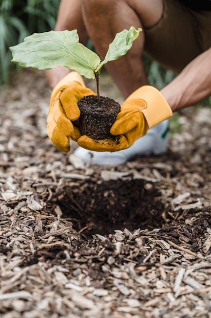 Recommendations​ for the Best ⁢Garden⁢ Gloves on the Market