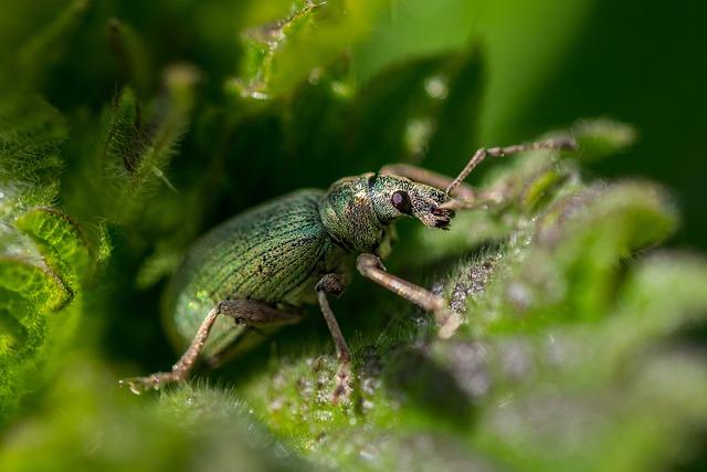 Comparative Analysis ⁣of Cost-Effectiveness in Pest Management Strategies