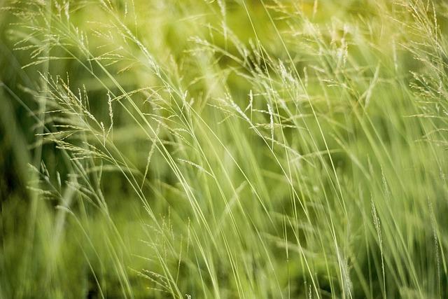 The Role of​ Environmental⁢ Factors in Repellent Performance