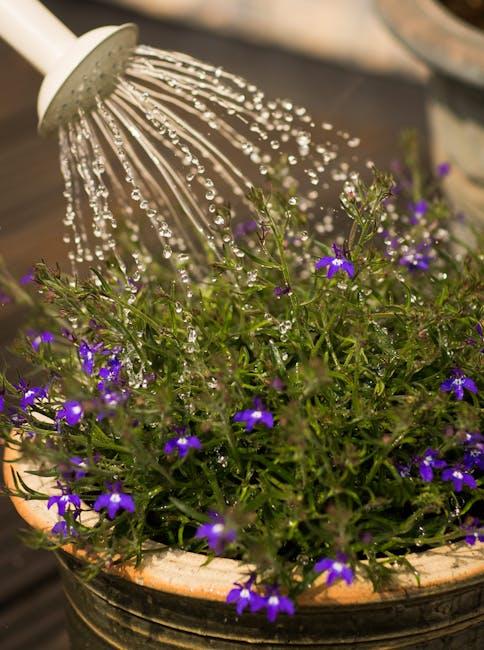 Choosing the Right Design for Optimal watering Experience