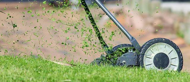 Factors Influencing Efficiency and Cut quality