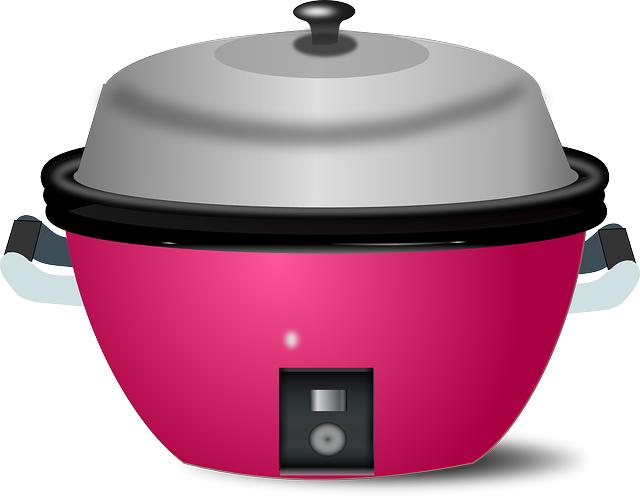 Unpacking the Technology Behind Electric Egg Cookers