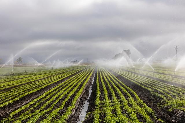 Real-Life Success Stories: How Smart⁢ Irrigation Transformed‍ Gardens