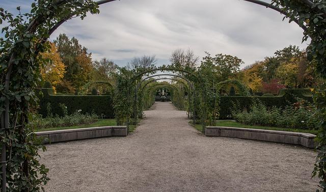 Exploring the Types of Trellises: Materials and Designs for Every Garden