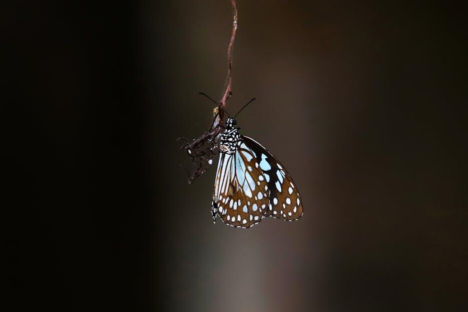 Practical ‌Tips for ‌Maximizing Protection against ⁣Outdoor​ Pests