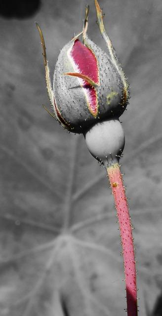 Exploring the Science Behind ⁢Color Correction Effects