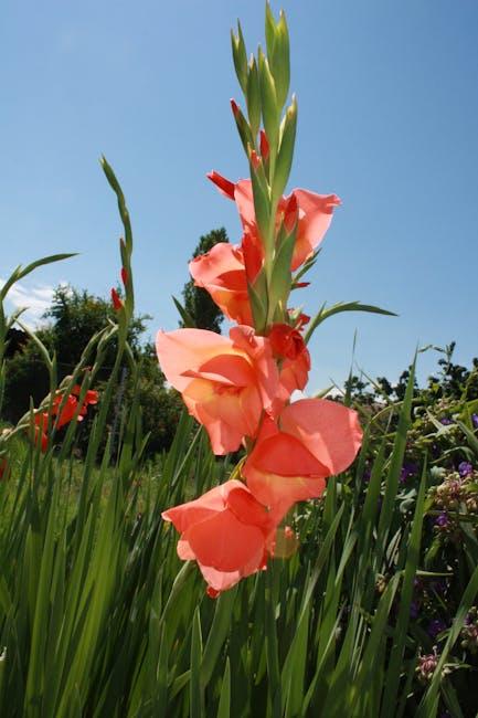 Enhancing Air Quality and Biodiversity Through Vertical Gardening