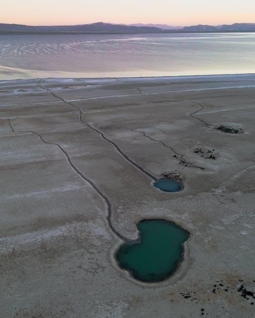 Essential considerations for Designing Tranquil Ponds