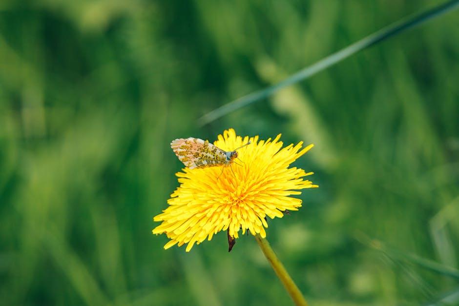 Exploring the Mechanisms Behind Outdoor Insect Repellent ⁣Devices
