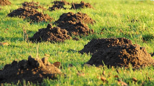 Performance Comparison Between‌ Automatic⁢ and Traditional⁣ Lawn Mowers