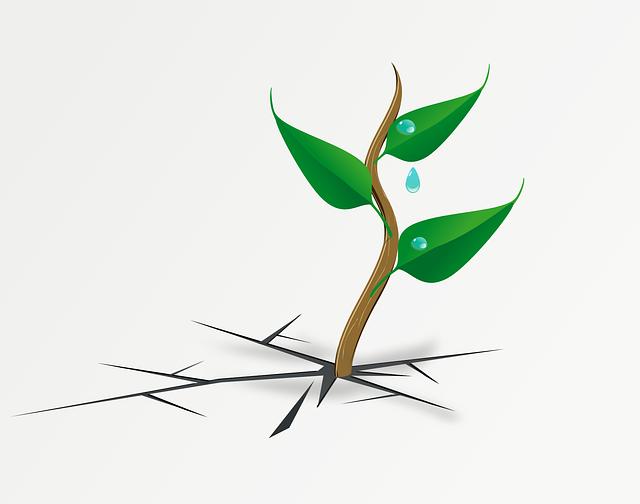 Understanding Weather Resistance: Keeping You‌ Comfortable in the Elements