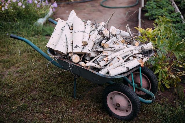 Recommendations for Choosing the Right garden Tool ⁣for⁤ You