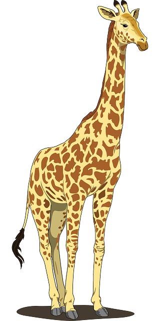 Top Contenders⁢ for Neck ​support and‌ Versatility